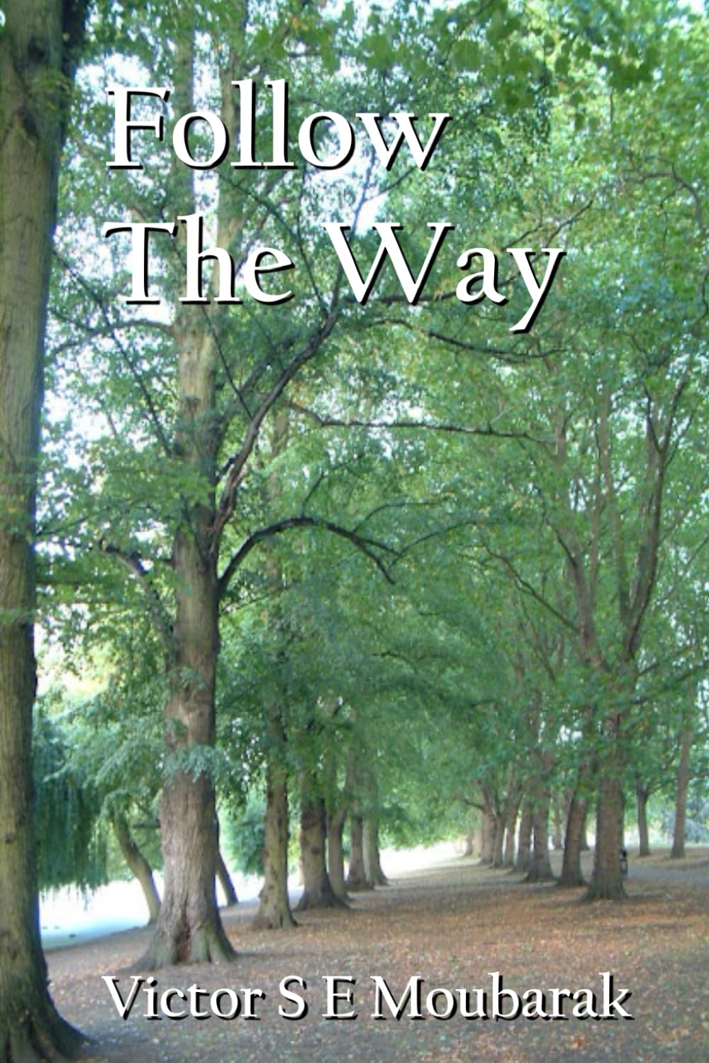 Description: Description: Description: D:\Documents\Move\Visions 21IV18\FollowTheWay.JPG